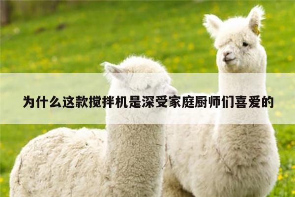 beat365：为什么这款搅拌机是深受家庭厨师们喜爱的