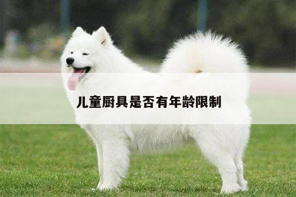 【beat365平台】儿童厨具是否有年龄限制