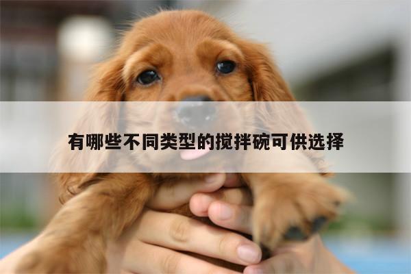 有哪些不同类型的搅拌碗可供选择【beat365官网登录】