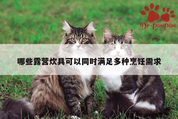 beat365在线体育|哪些露营炊具可以同时满足多种烹饪需求