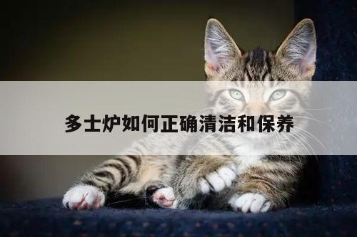 beat365在线体育-多士炉如何正确清洁和保养