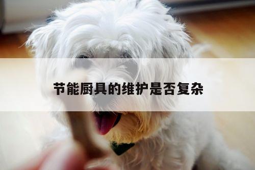 beat365官网登录_节能厨具的维护是否复杂