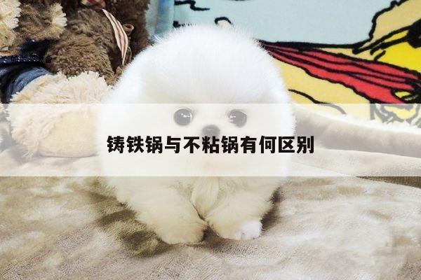 【beat365官网登录】铸铁锅与不粘锅有何区别