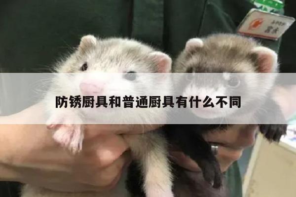 beat365平台|防锈厨具和普通厨具有什么不同