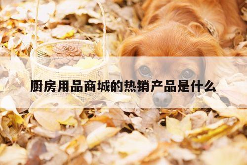 厨房用品商城的热销产品是什么：beat365