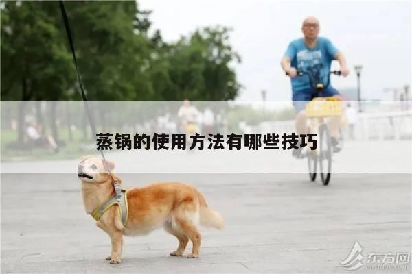 蒸锅的使用方法有哪些技巧-beat365平台