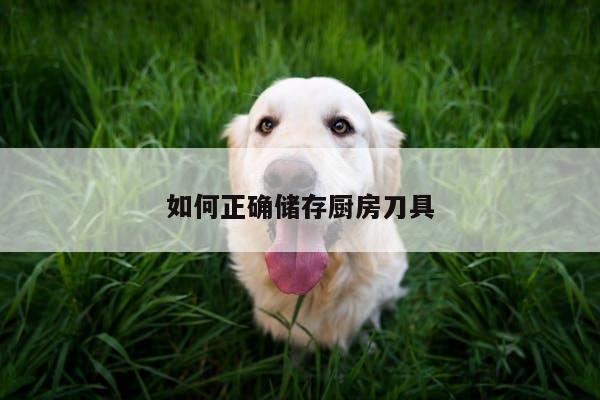 【beat365在线体育】如何正确储存厨房刀具