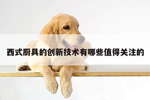 beat365在线体育|西式厨具的创新技术有哪些值得关注的