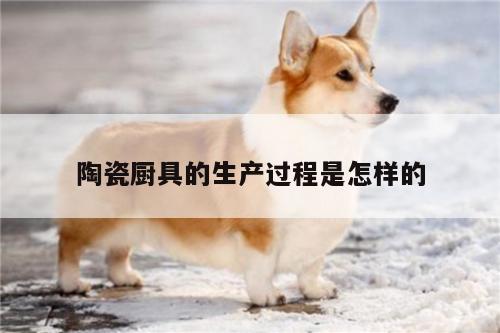 beat365平台-陶瓷厨具的生产过程是怎样的