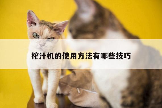 beat365平台：榨汁机的使用方法有哪些技巧