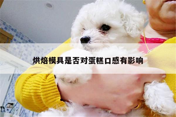 beat365官网登录：烘焙模具是否对蛋糕口感有影响