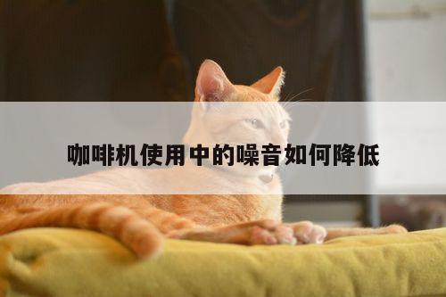 beat365平台：咖啡机使用中的噪音如何降低