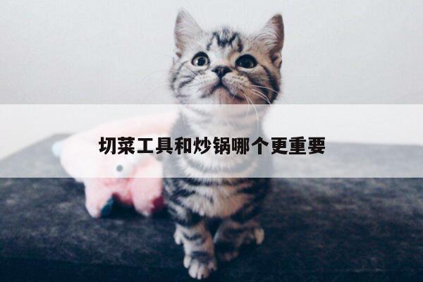 切菜工具和炒锅哪个更重要【beat365平台】