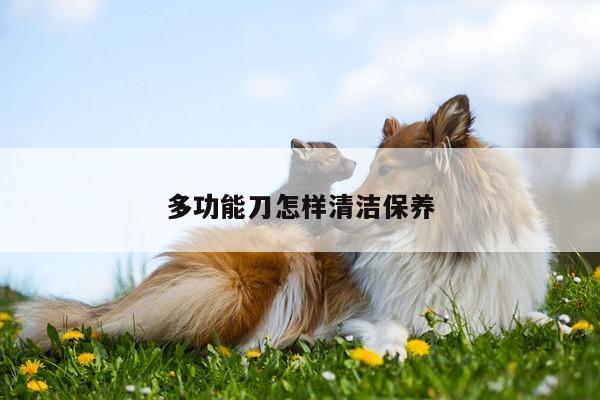 多功能刀怎样清洁保养_beat365官网登录