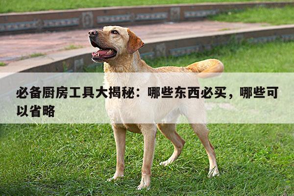 必备厨房工具大揭秘：哪些东西必买，哪些可以省略-beat365官网登录