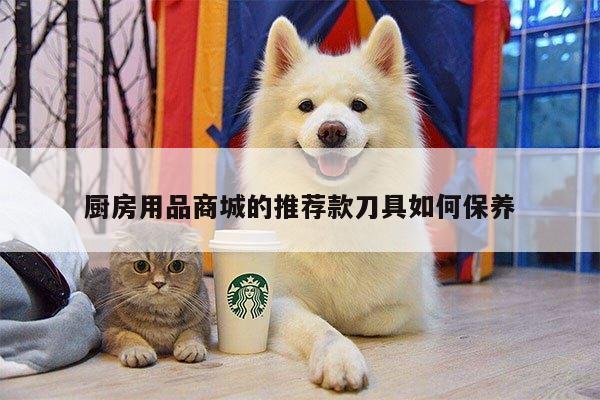 【beat365官网登录】厨房用品商城的推荐款刀具如何保养