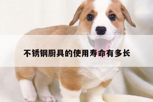 beat365：不锈钢厨具的使用寿命有多长