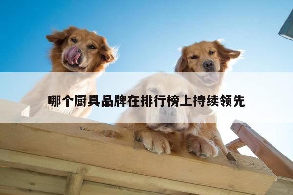 哪个厨具品牌在排行榜上持续领先|beat365平台